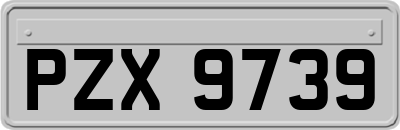 PZX9739
