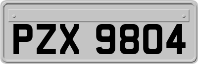 PZX9804