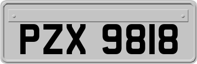 PZX9818