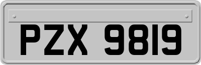 PZX9819