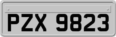 PZX9823