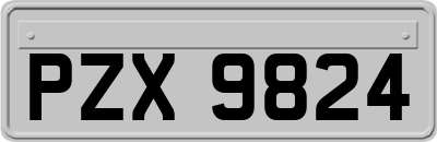 PZX9824