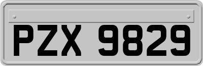PZX9829