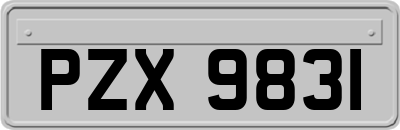 PZX9831