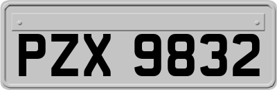 PZX9832