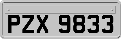 PZX9833