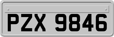 PZX9846