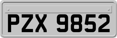 PZX9852