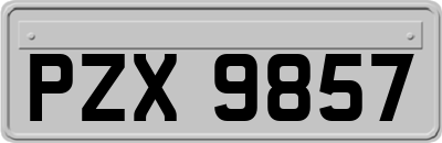 PZX9857