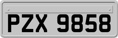 PZX9858