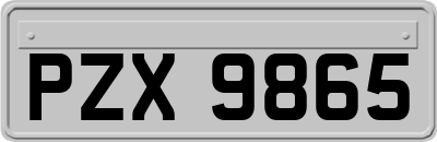 PZX9865
