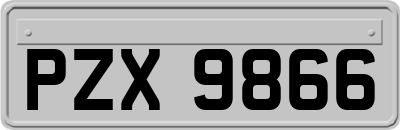 PZX9866