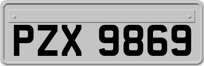 PZX9869