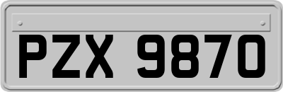 PZX9870