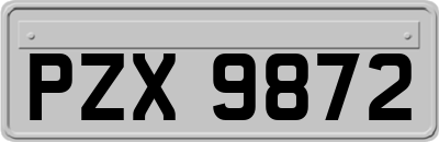 PZX9872