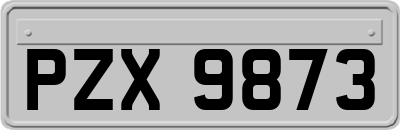 PZX9873