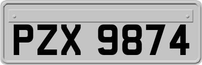 PZX9874