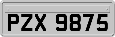 PZX9875