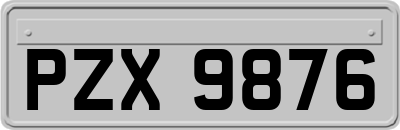 PZX9876
