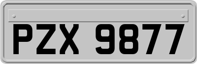 PZX9877