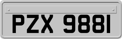 PZX9881