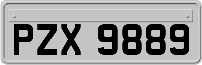 PZX9889