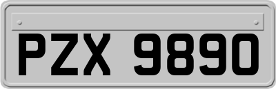 PZX9890
