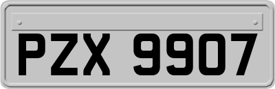 PZX9907
