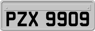 PZX9909