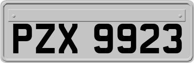 PZX9923