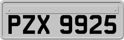 PZX9925