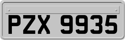 PZX9935