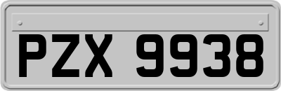 PZX9938