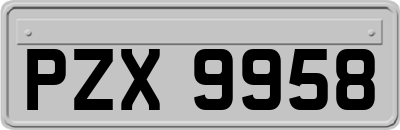 PZX9958