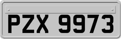 PZX9973