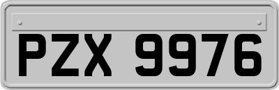 PZX9976