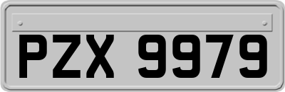 PZX9979