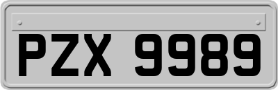 PZX9989