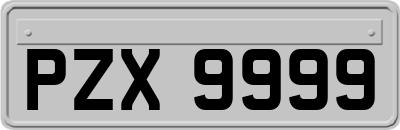 PZX9999