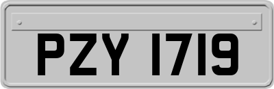 PZY1719
