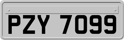 PZY7099