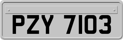 PZY7103