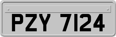 PZY7124