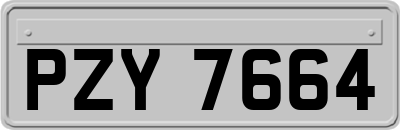 PZY7664