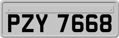 PZY7668