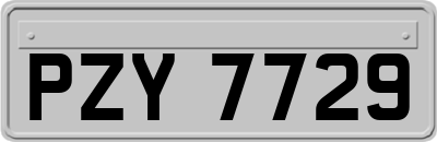 PZY7729