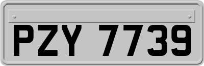 PZY7739