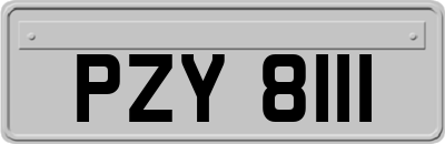 PZY8111