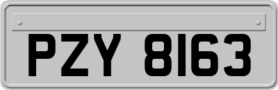 PZY8163