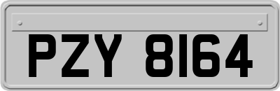 PZY8164